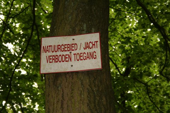 Paerkeerplaats sex kan ook in het bos
